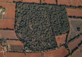 Terreno no urbanizable en venta en la España, Felanitx, ref: TR125527 foto