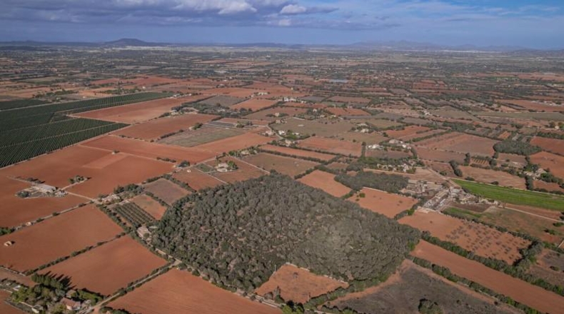 Islas Baleares - Felanitx - 61000m2