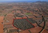 Terreno no urbanizable en venta en la España, Felanitx, ref: TR125527 foto
