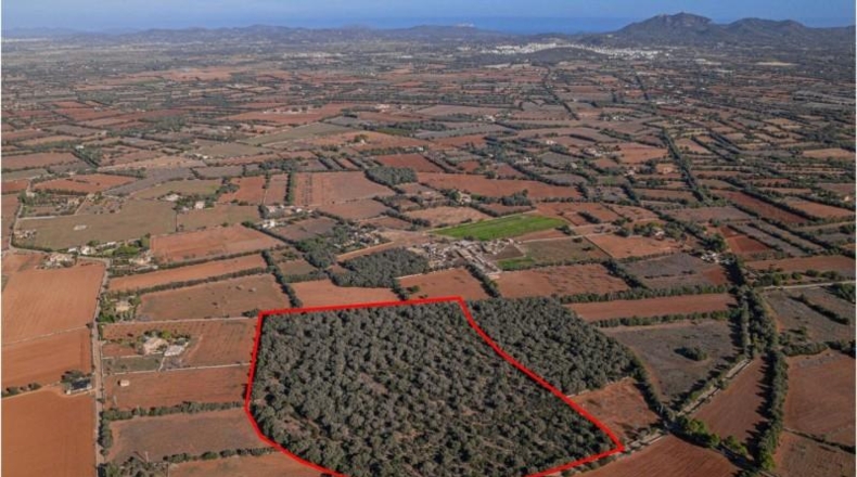 Islas Baleares - Felanitx - 61000m2