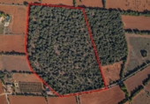 Terreno no urbanizable en venta en la España, Felanitx, ref: TR125527 foto