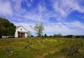 Casa con terreno en venta en la España, Forfoleda, ref: TR398444 foto