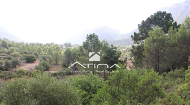 Valencia - Bárig - 4500m2