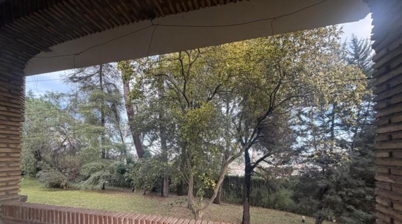 Sevilla - Mairena del Aljarafe - 2397m2