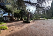 Casa de campo con terreno en venta en la España, Reus, ref: TR221629 foto