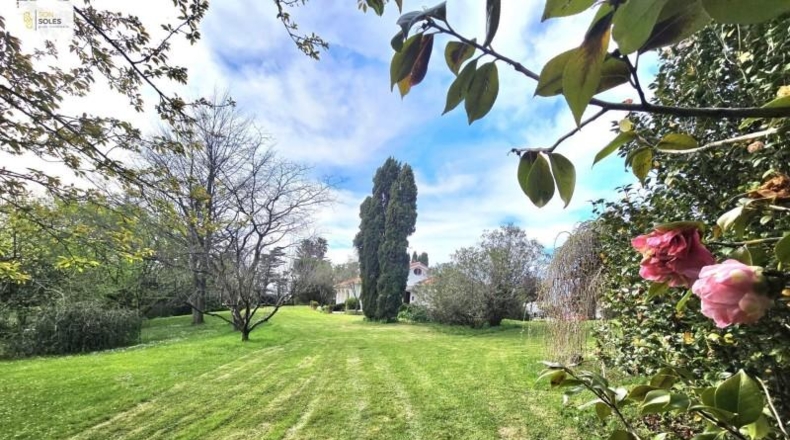 Cantabria - Liaño - 5000m2