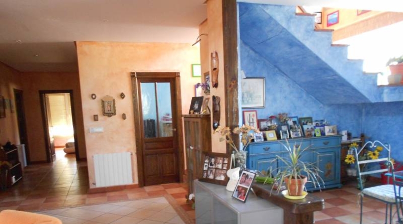 Alicante - la Romana - 14000m2