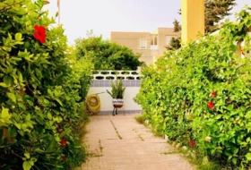 Foto 7