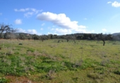 Detached villa with land for sale on España, Manacor, ref: TR137443 photo