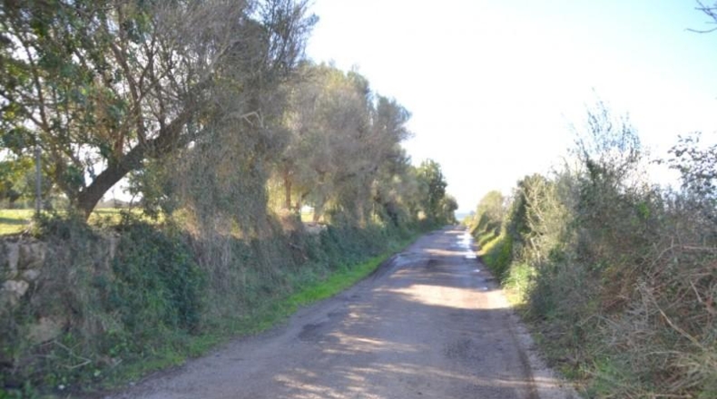 Islas Baleares - Manacor - 42985m2