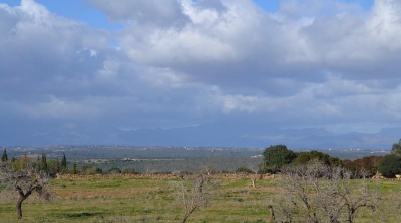 Islas Baleares - Manacor - 42985m2