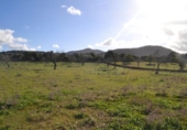 Detached villa with land for sale on España, Manacor, ref: TR137443 photo