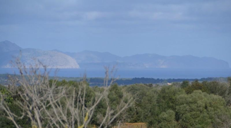 Islas Baleares - Manacor - 42985m2