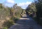 Detached villa with land for sale on España, Manacor, ref: TR137443 photo