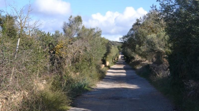 Islas Baleares - Manacor - 42985m2