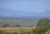 Detached villa with land for sale on España, Manacor, ref: TR137443 photo