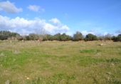 Detached villa with land for sale on España, Manacor, ref: TR138881 photo