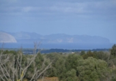 Detached villa with land for sale on España, Manacor, ref: TR138881 photo