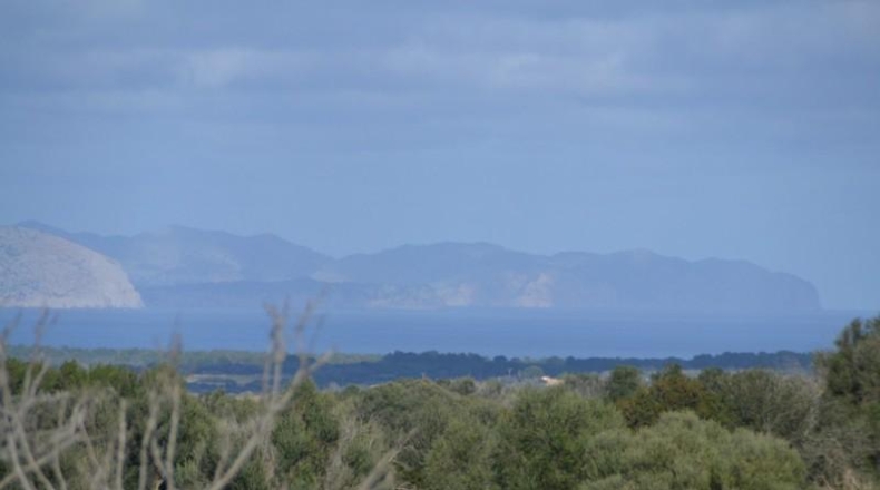 Islas Baleares - Manacor - 42985m2