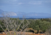 Detached villa with land for sale on España, Manacor, ref: TR138881 photo