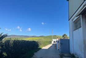 Foto 8