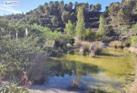 Foto 15