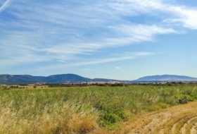 Muruzabal Andion 16000&nbsp;m²