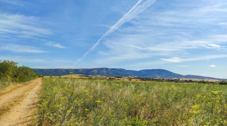 Navarra - Muruzábal - 16000m2