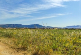 Muruzabal Andion 16000&nbsp;m²