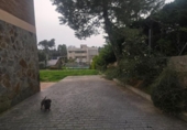 Chalet independiente con terreno en venta en la España, Sabadell, ref: TR396292 foto