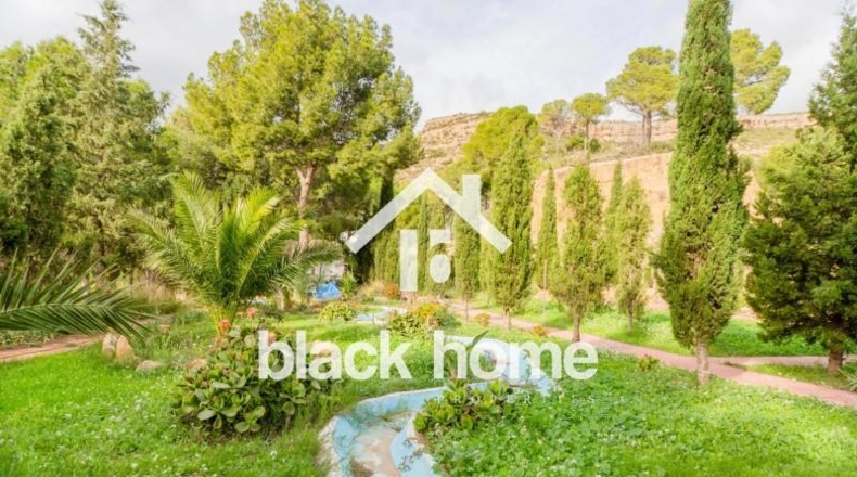 Cadiz - Vejer de la Frontera - 3000m2