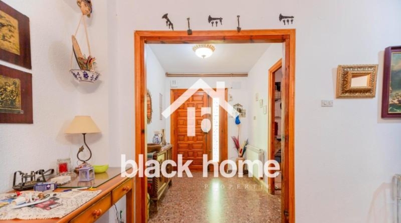 Cadiz - Vejer de la Frontera - 3000m2