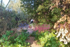 Foto 13