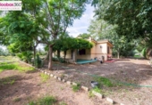 Chalet independiente con terreno en venta en la España, Riudoms, ref: TR384212 foto