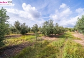 Chalet independiente con terreno en venta en la España, Riudoms, ref: TR384212 foto