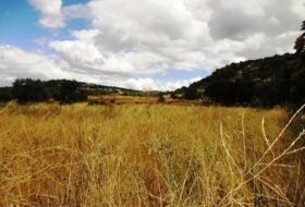 Cebreros 20043&nbsp;m²