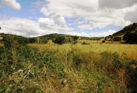 Cebreros 20043&nbsp;m²