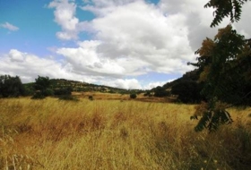 Cebreros 20043&nbsp;m²