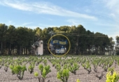 Detached villa with land for sale on España, Fontanars dels Alforins, ref: TR375653 photo