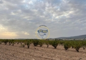 Detached villa with land for sale on España, Fontanars dels Alforins, ref: TR375653 photo