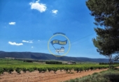 Detached villa with land for sale on España, Fontanars dels Alforins, ref: TR375653 photo