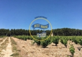 Detached villa with land for sale on España, Fontanars dels Alforins, ref: TR375653 photo
