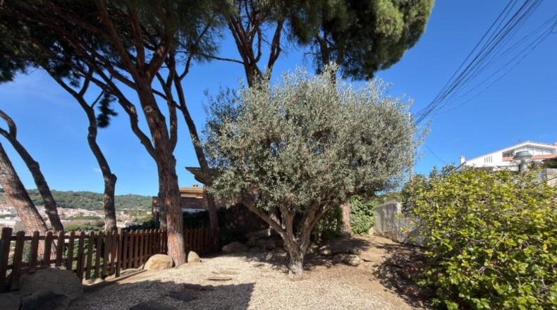 Barcelona - Canet de Mar - 1844m2