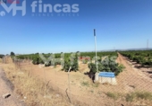 Terreno no urbanizable en venta en la España, Cantillana, ref: TR266676 foto