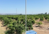 Terreno no urbanizable en venta en la España, Cantillana, ref: TR266676 foto