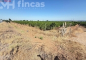 Terreno no urbanizable en venta en la España, Cantillana, ref: TR266676 foto
