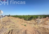 Terreno no urbanizable en venta en la España, Cantillana, ref: TR266676 foto
