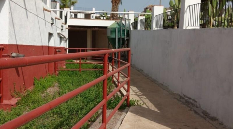 Murcia - Águilas - 8000m2