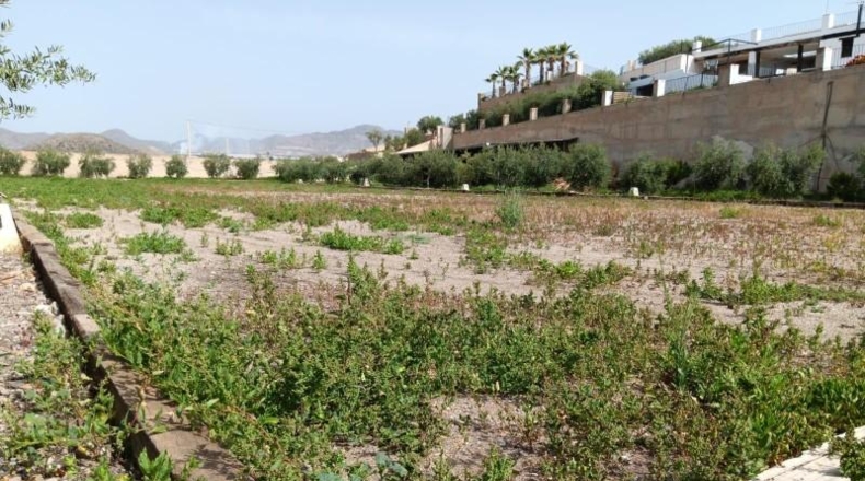 Murcia - Águilas - 8000m2