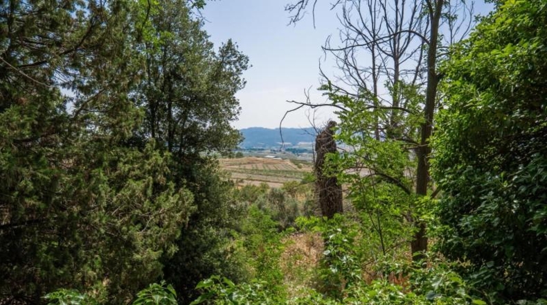 Murcia - Caravaca de la Cruz - 35000m2